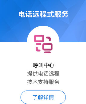 电话远程式服务